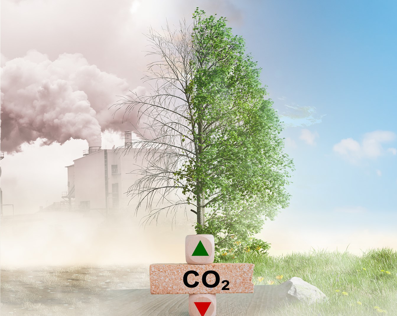 Making China’s Carbon Market to Work: Additions and Subtractions