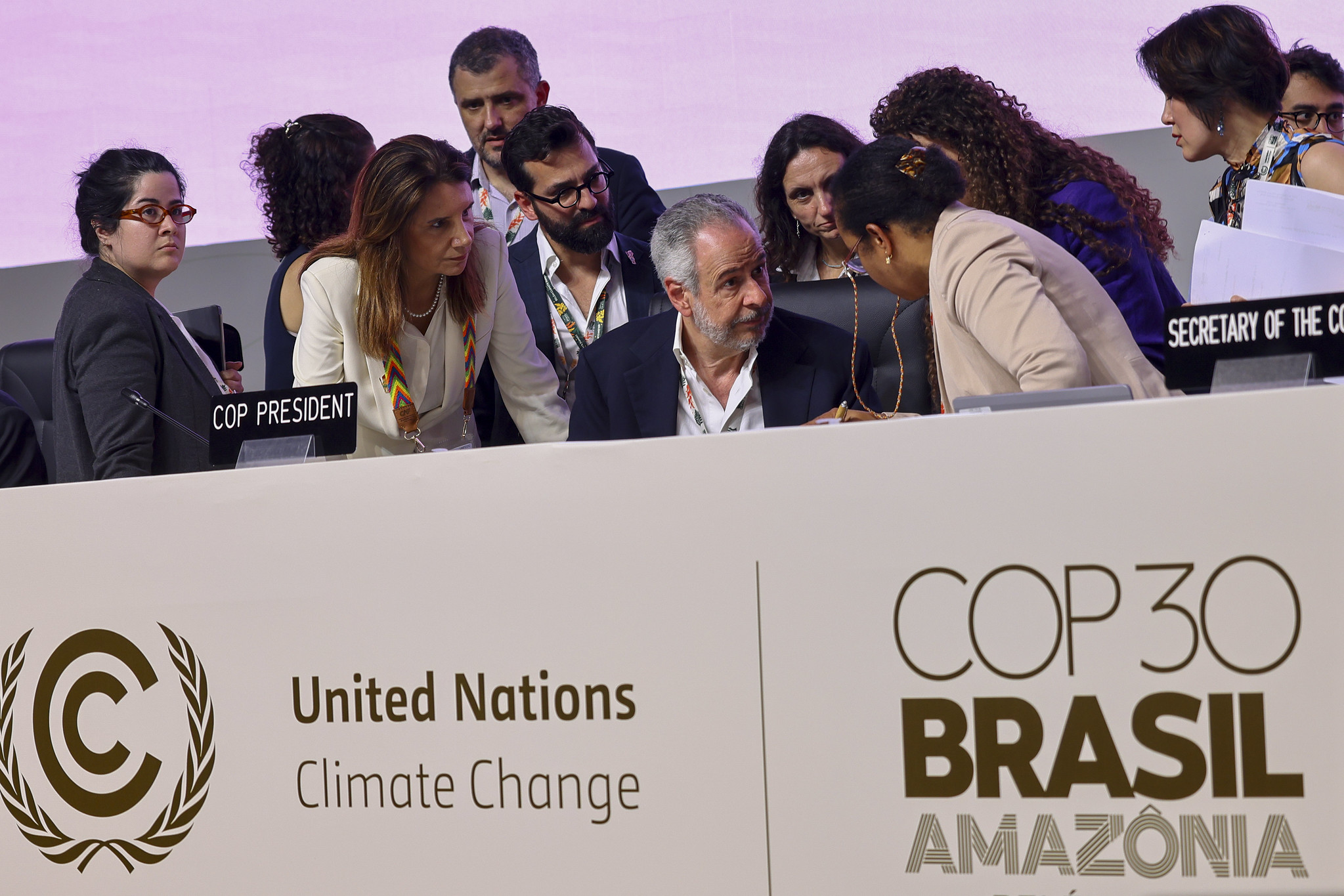 When the Axe Meets the Ledger: Global Practices Redefining Forest Valuation